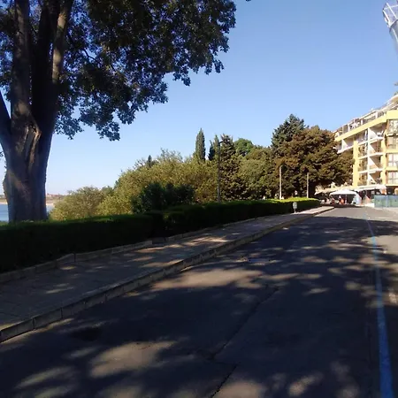 شقة Vigo نيسيبار