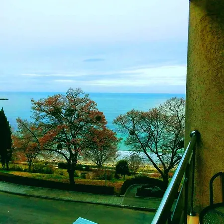 Vigo